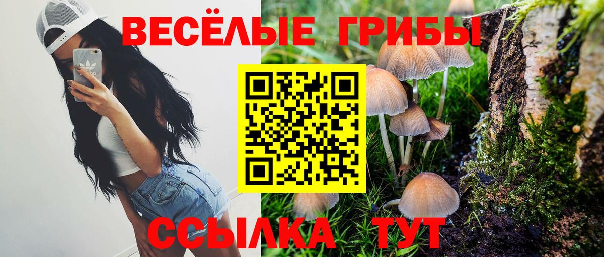 Старая Купавна  продажа наркотиков  Вход с VPN  Галлюциногенные грибы Psilocybe  Псилоцибиновые грибы прущие грибы 