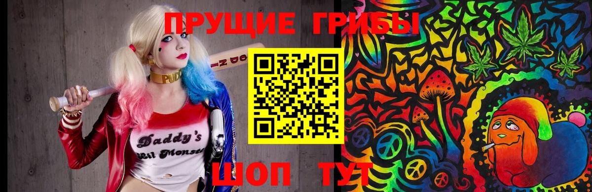 Галлюциногенные грибы Psilocybe Старая Купавна